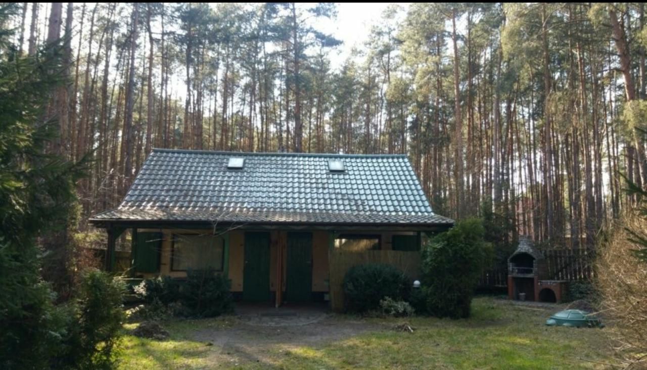 Лоджи Domek Bliźniaczy Twin Chalet Salamonowo